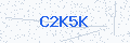 Security verification code