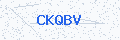 Security verification code