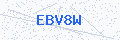 Security verification code