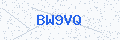 Security verification code