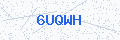 Security verification code