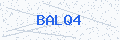 Security verification code