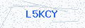 Security verification code