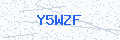 Security verification code