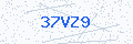 Security verification code