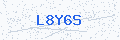Security verification code
