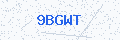 Security verification code