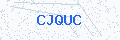 Security verification code