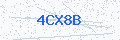 Security verification code
