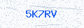 Security verification code