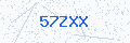 Security verification code