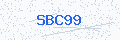 Security verification code