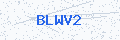 Security verification code