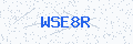 Security verification code