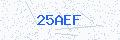 Security verification code