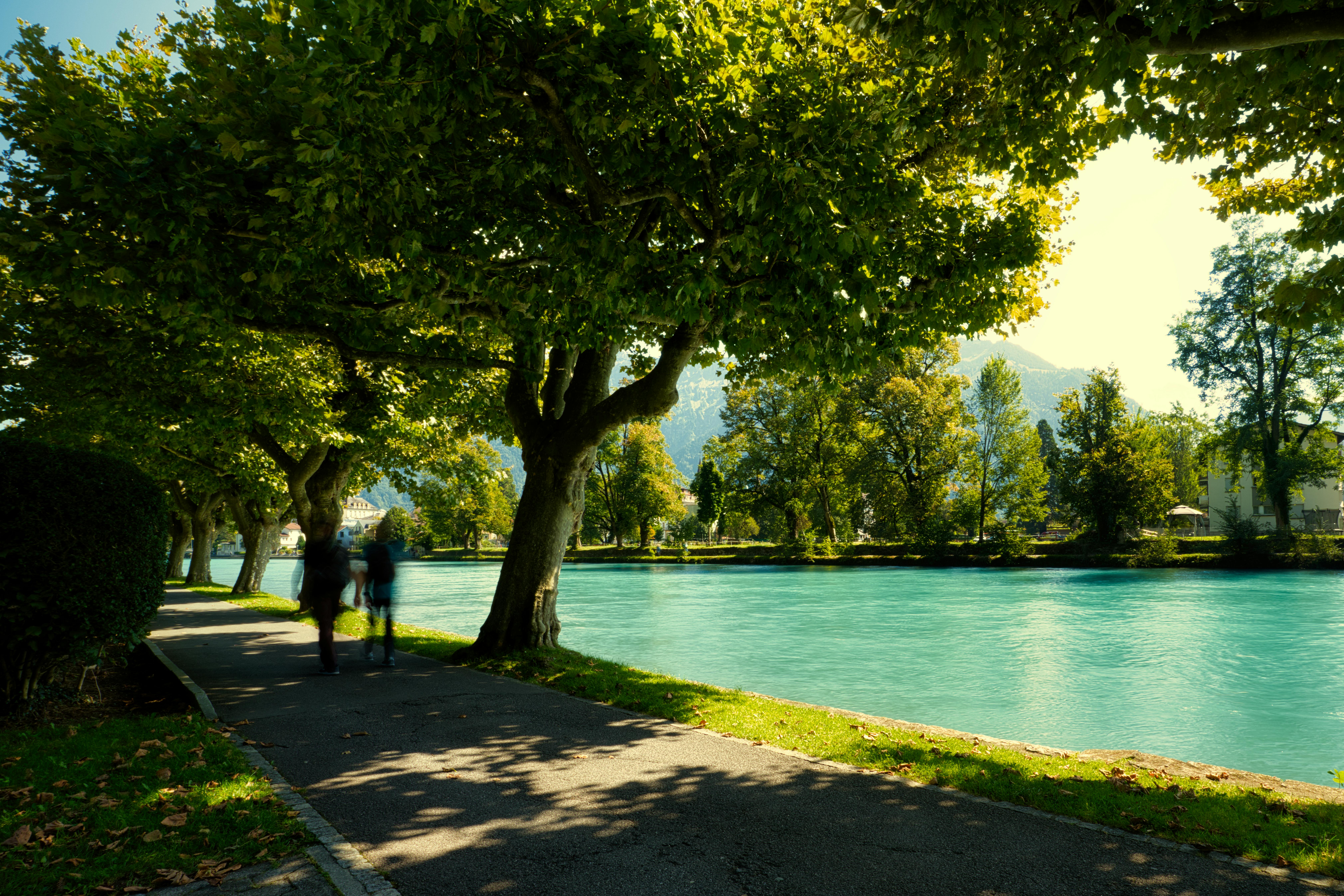 שביל מוצל לצד נהר הטורקיז | Shaded Path alongside the Turquoise River