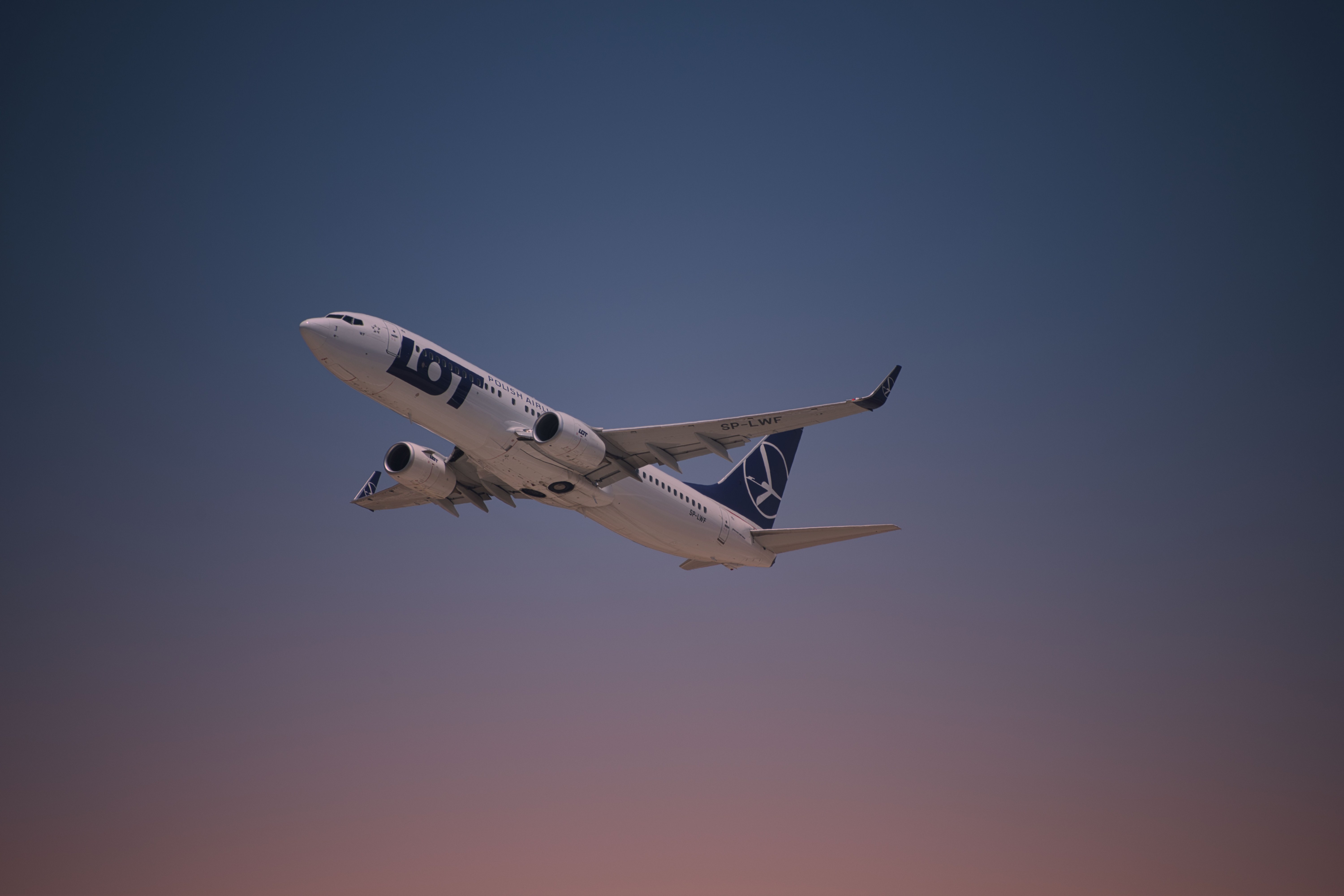 מטוס בואינג 737 של LOT בהמראה בשמיים בגווני כחול וורוד