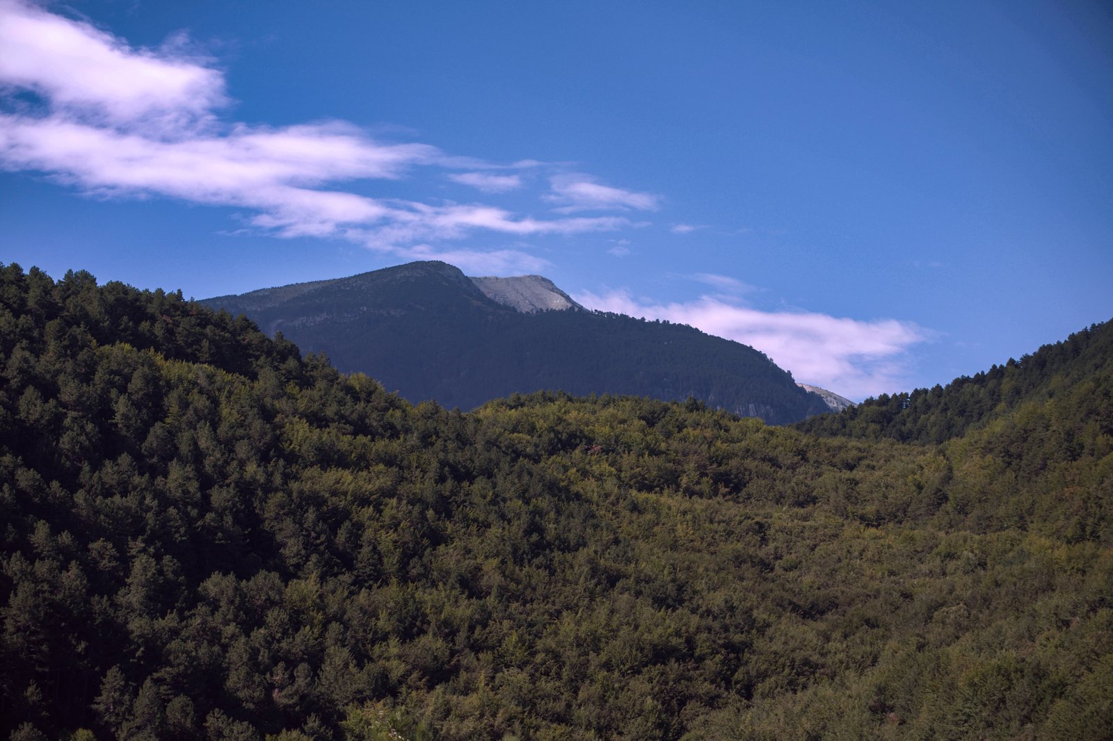 RONROV — גלריית צילום