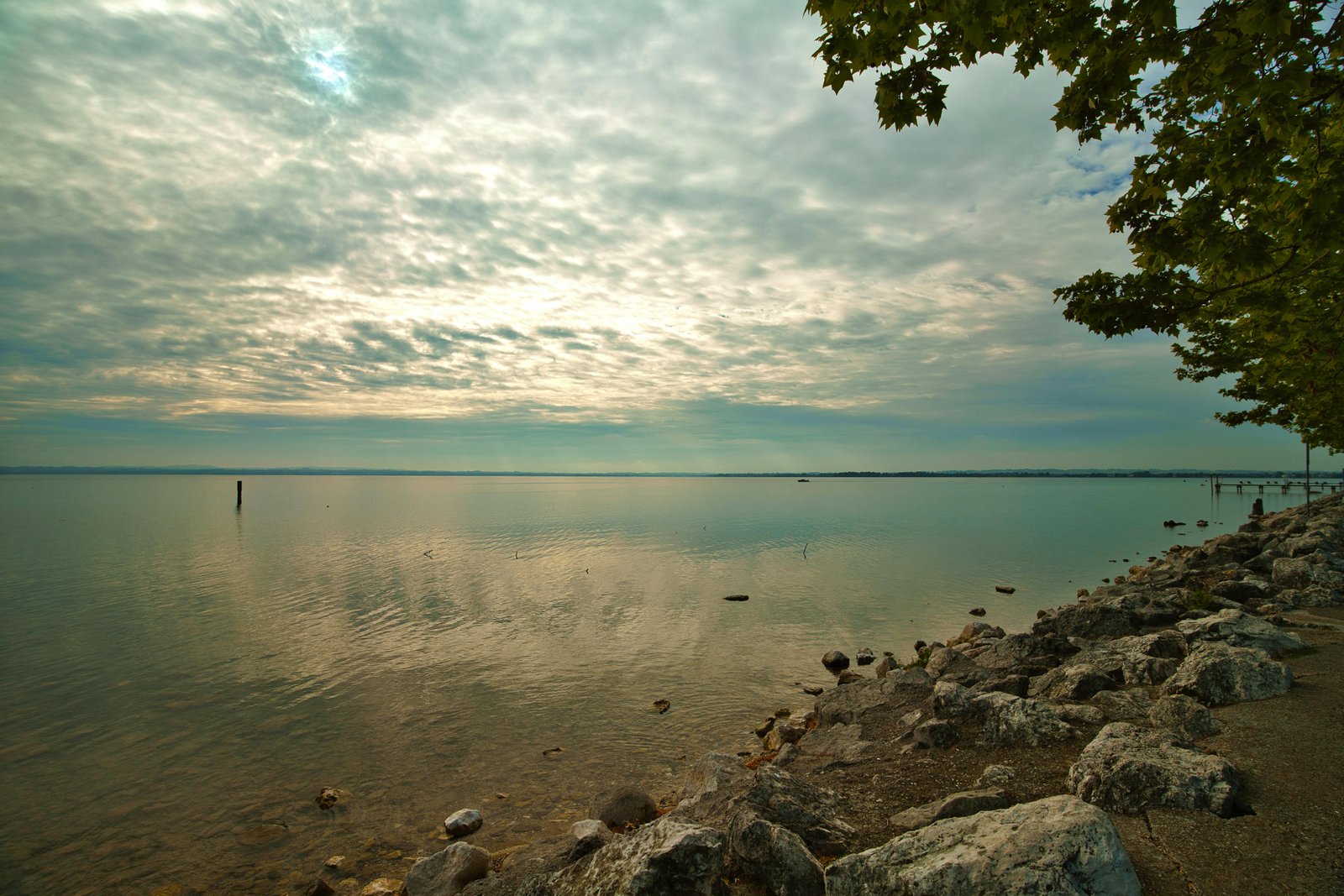 RONROV — Photography Gallery