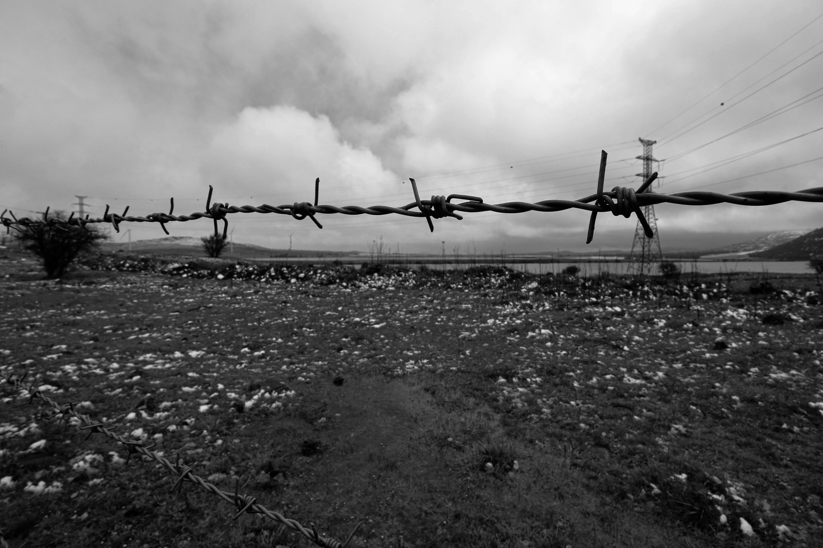 RONROV — Photography Gallery