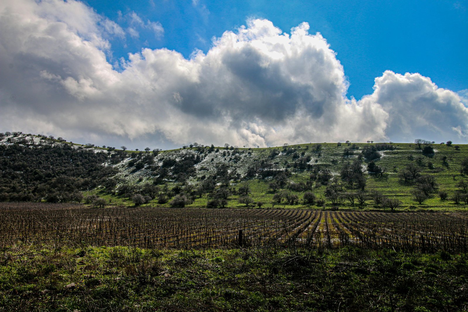 RONROV — Photography Gallery