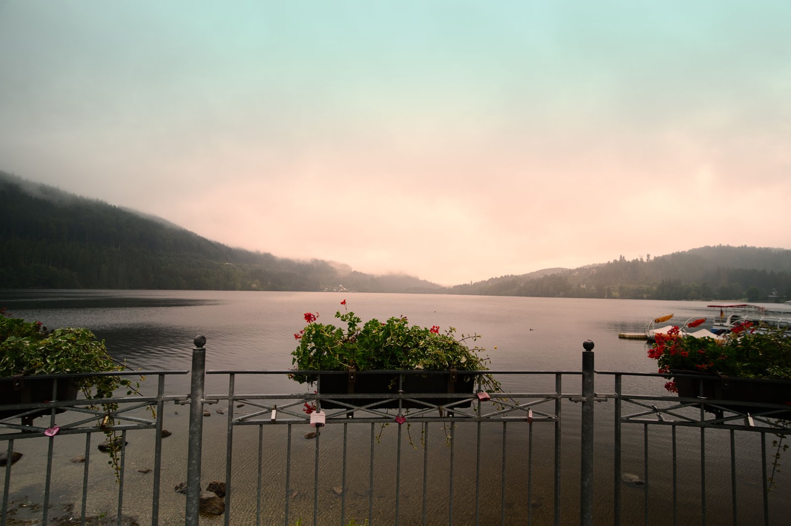 RONROV — גלריית צילום