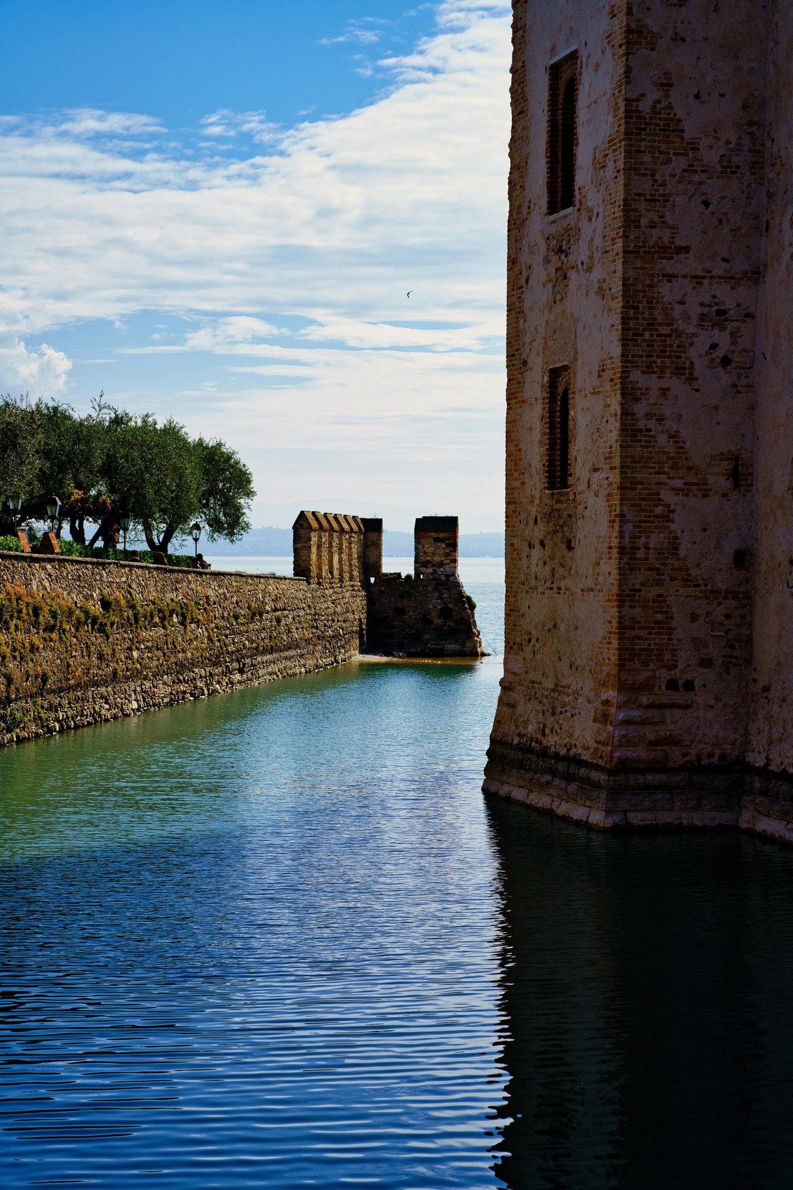 RONROV — Photography Gallery