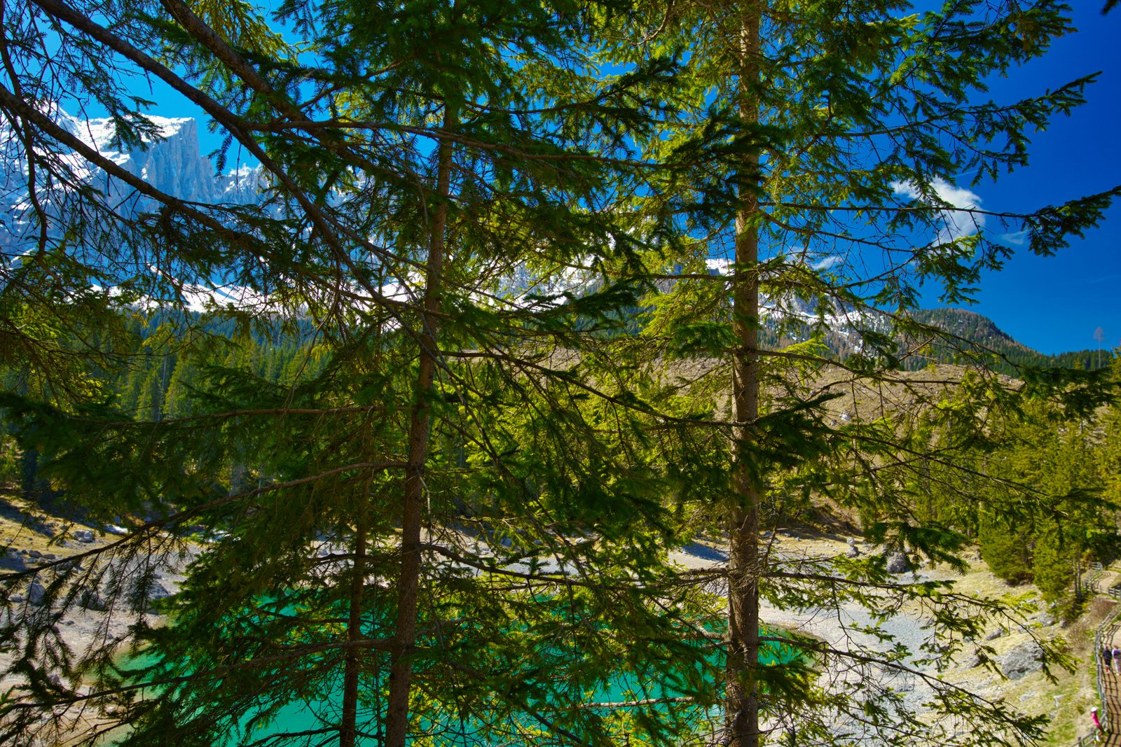 RONROV — Photography Gallery