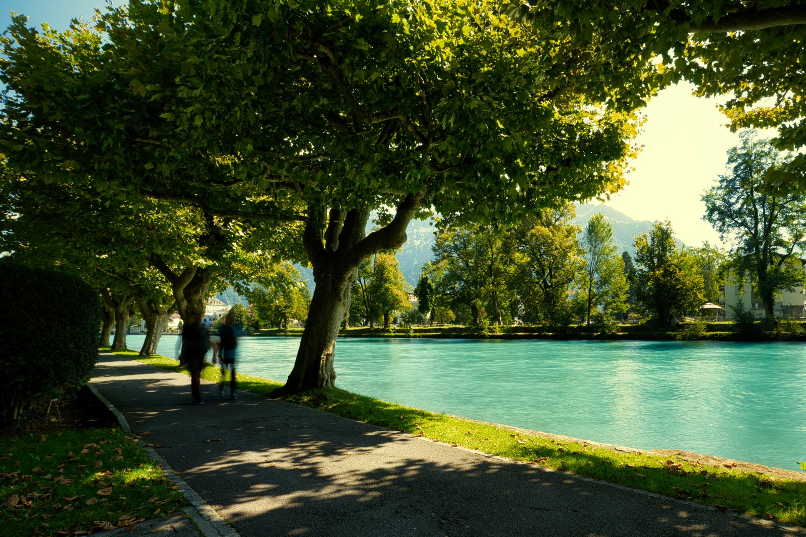 RONROV — Photography Gallery