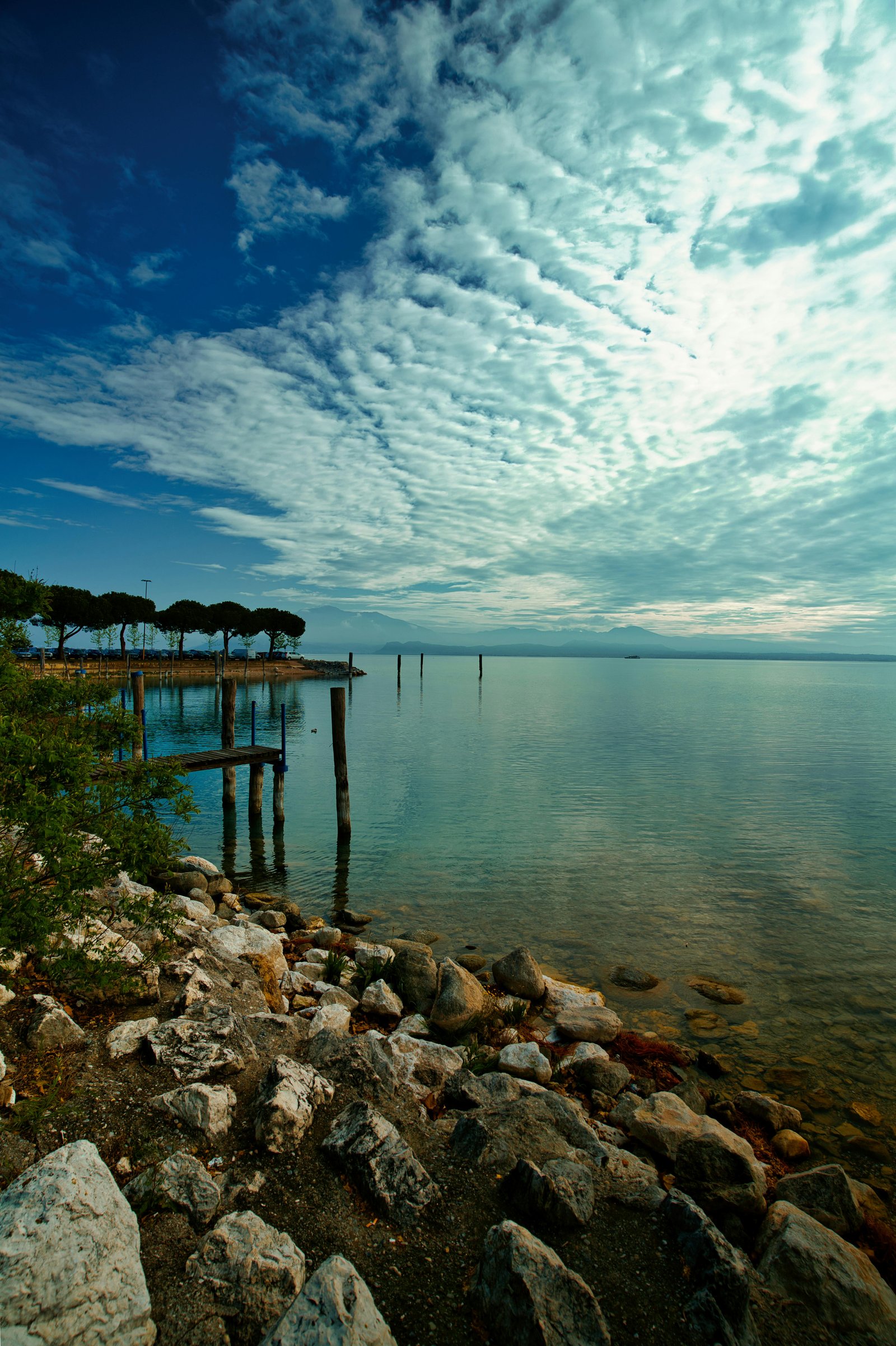 RONROV — Photography Gallery