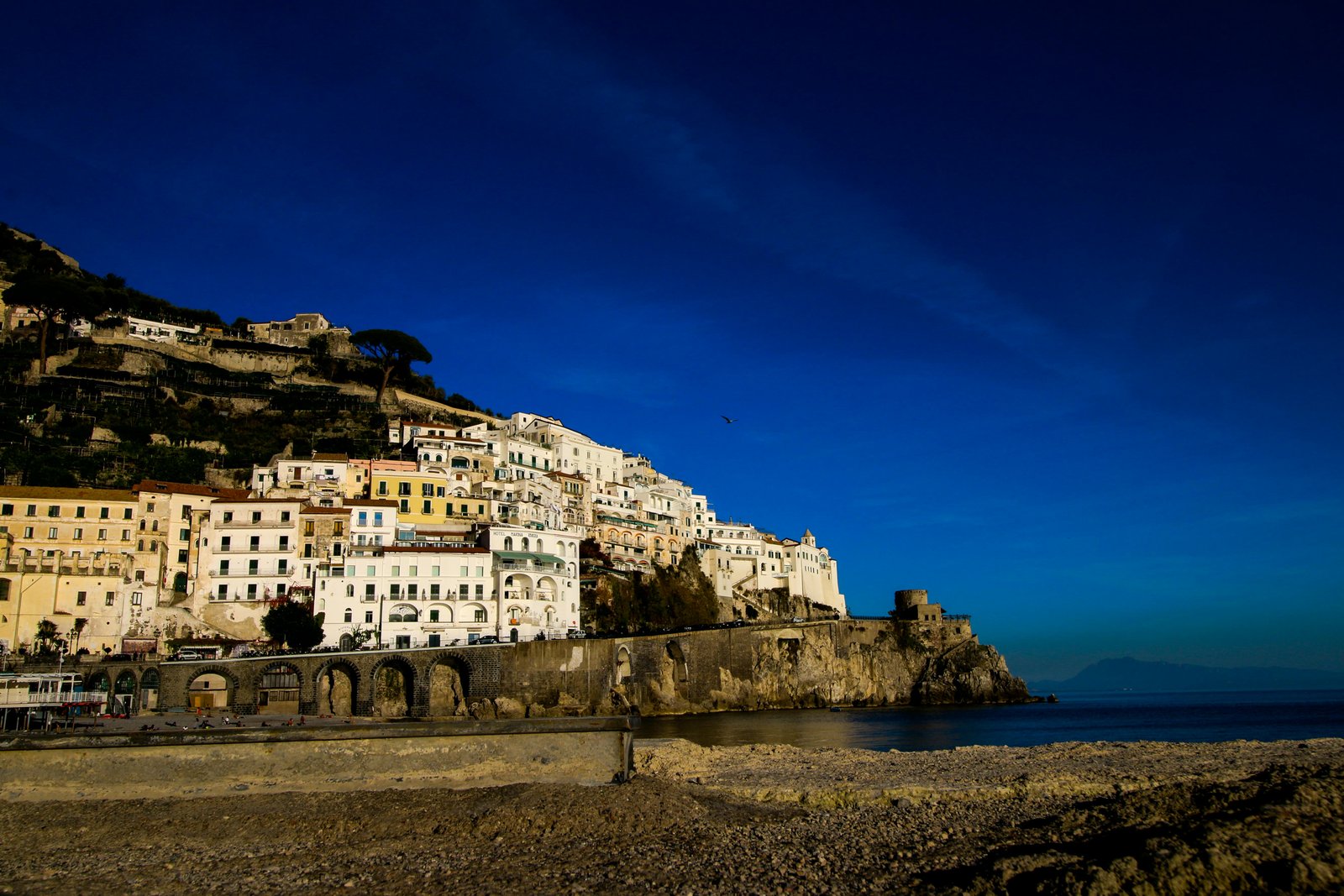 RONROV — Photography Gallery