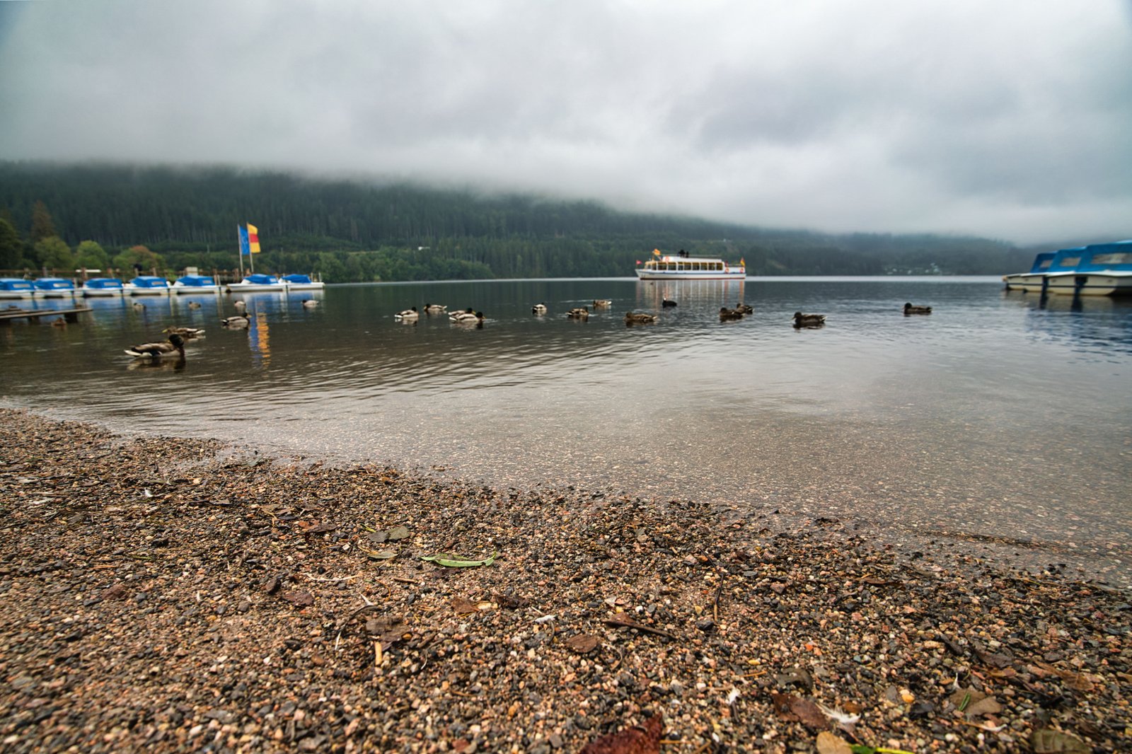 RONROV — גלריית צילום